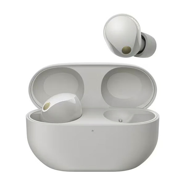 Sony WF-1000XM5 True Wireless In-Ear-KopfhörerBild