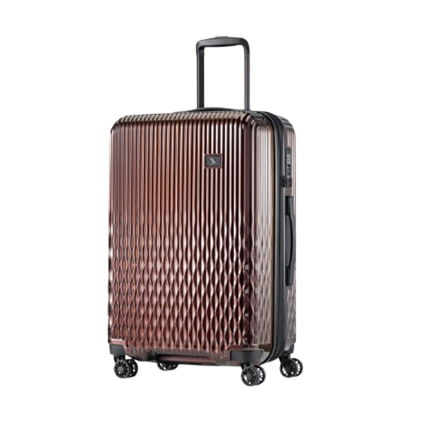 Pack Easy FLOW TrolleyBild